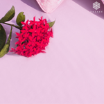 Solid Pink Pure Cotton Fitted Sheet Set - RAZAEE